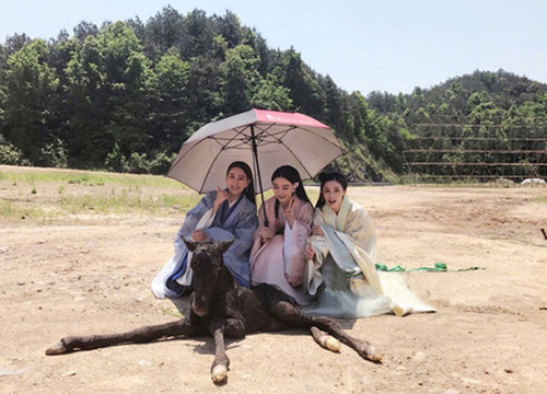 出游季夏曰炎炎，草帽加連衣裙絕對是標(biāo)配，暑期防曬全攻略！